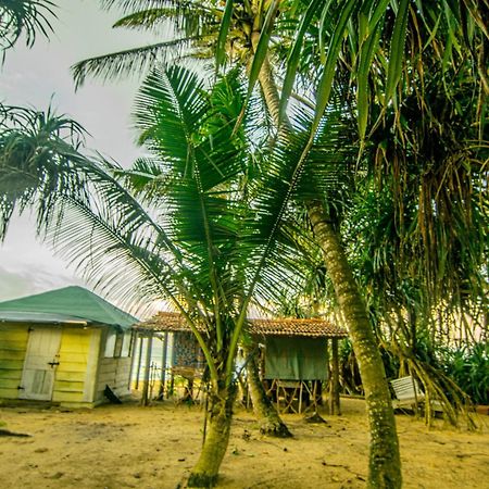 Hikkaduwa Backyard Beach Homestay Galle Eksteriør bilde