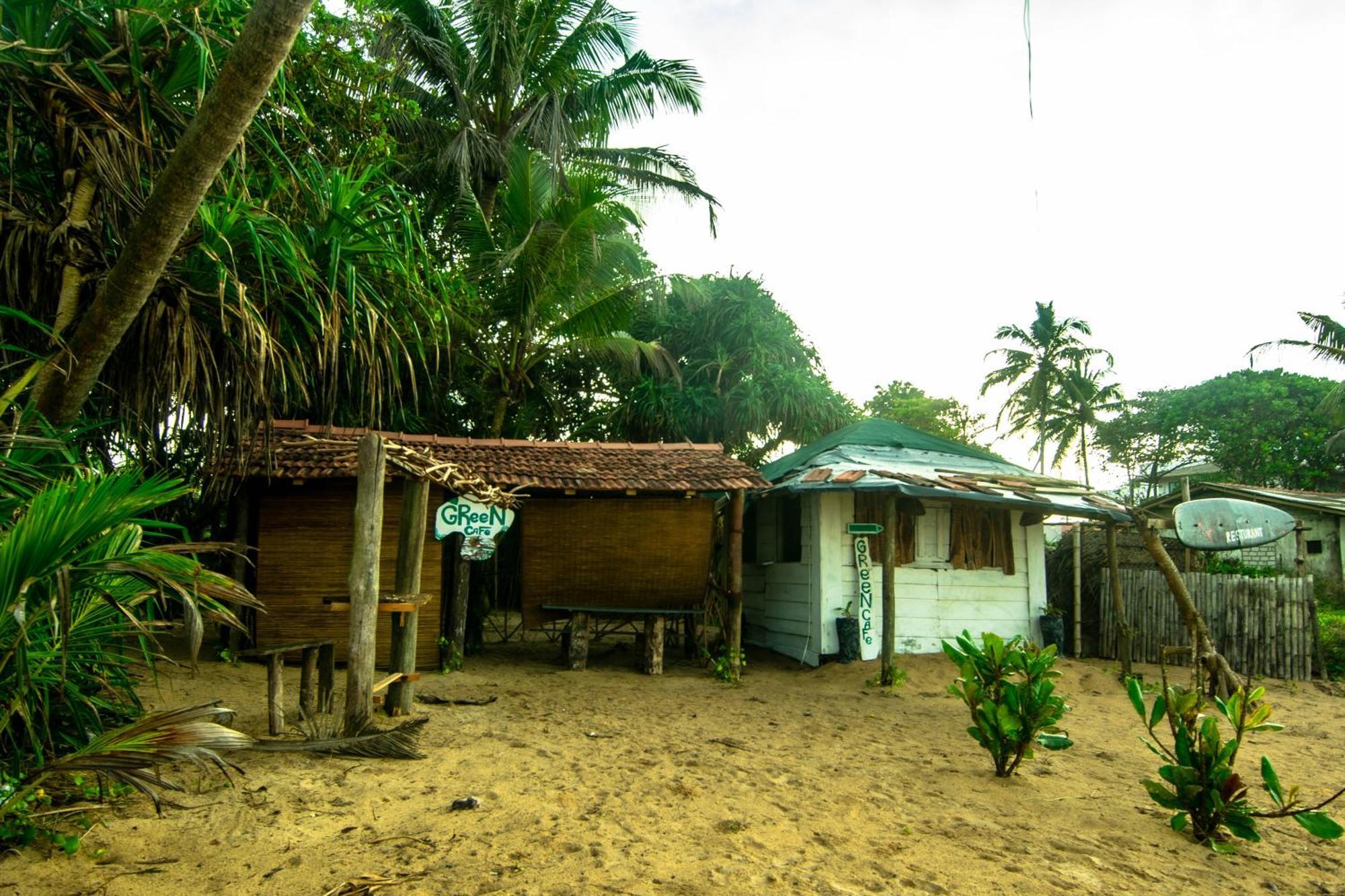 Hikkaduwa Backyard Beach Homestay Galle Eksteriør bilde