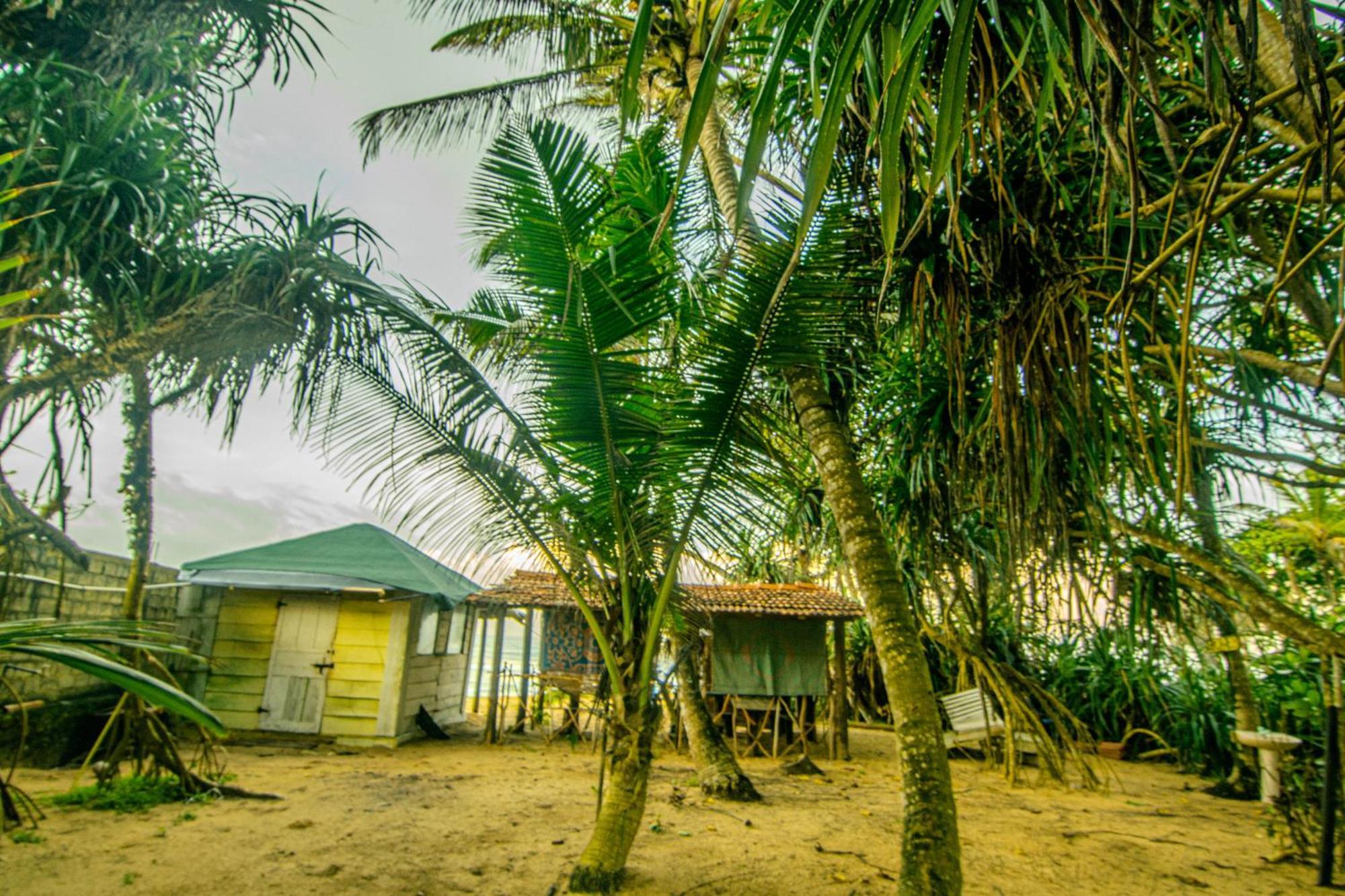 Hikkaduwa Backyard Beach Homestay Galle Eksteriør bilde