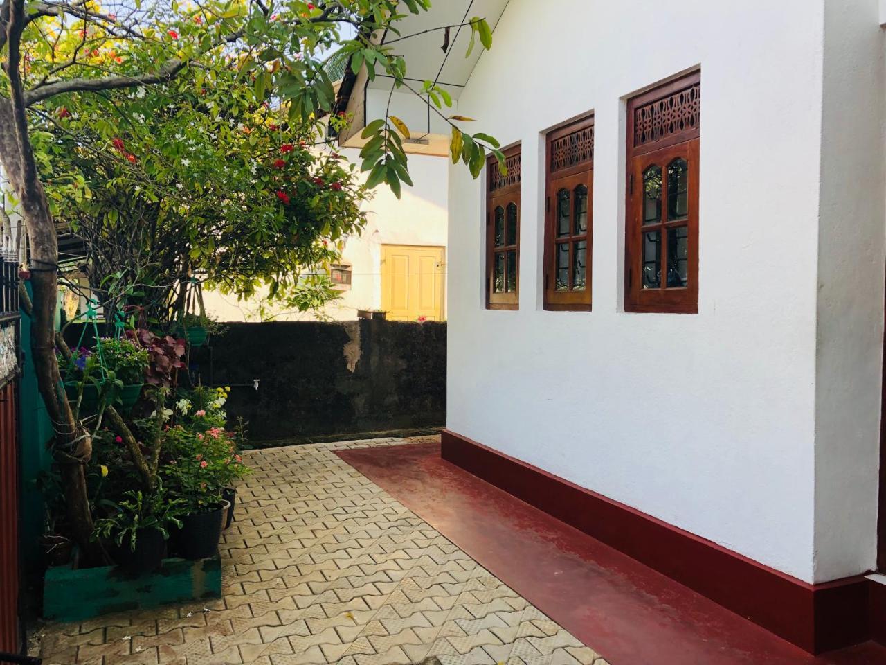 Hikkaduwa Backyard Beach Homestay Galle Eksteriør bilde