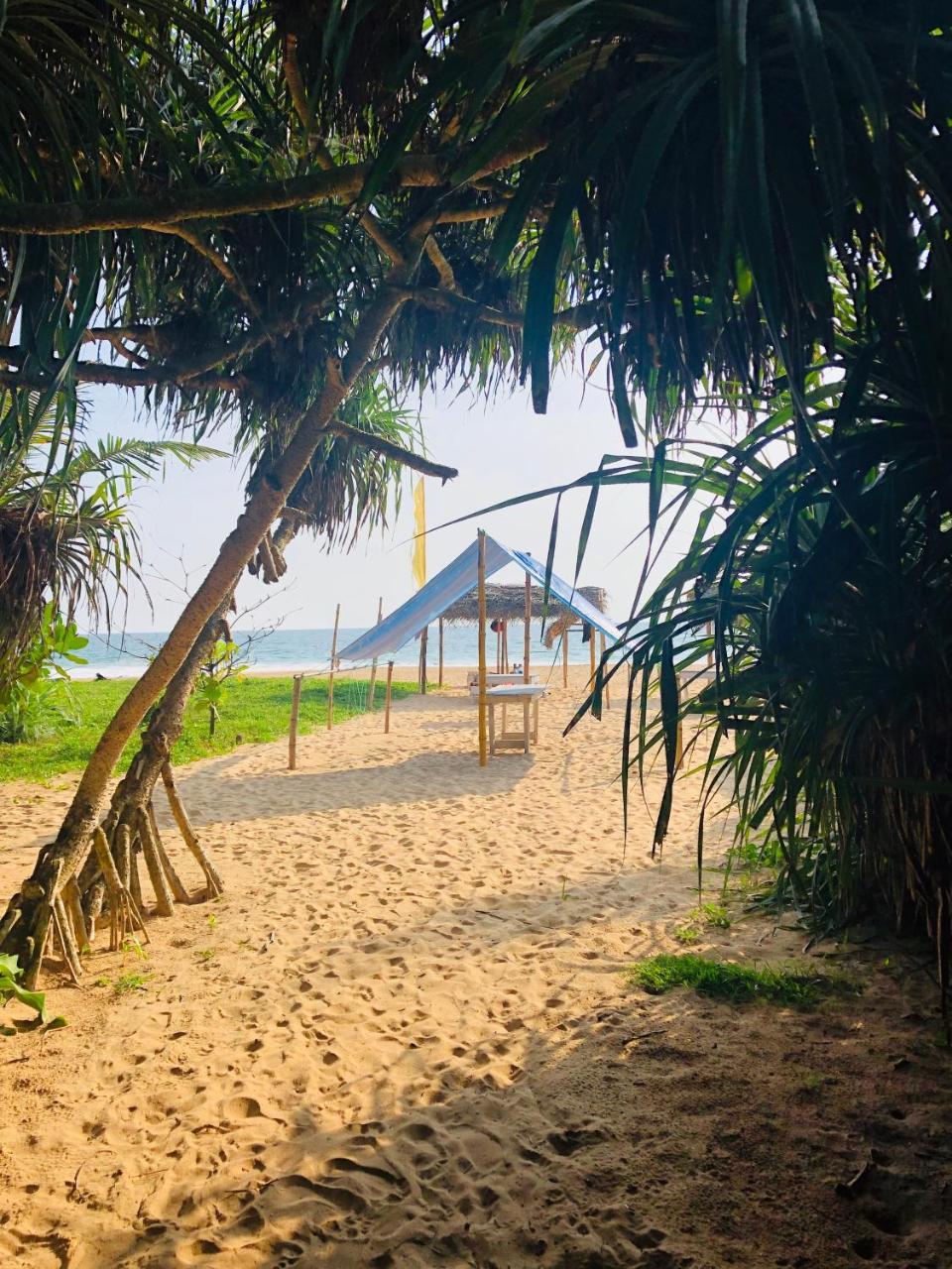 Hikkaduwa Backyard Beach Homestay Galle Eksteriør bilde