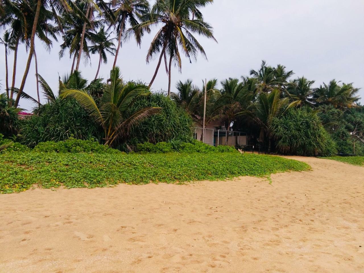 Hikkaduwa Backyard Beach Homestay Galle Eksteriør bilde