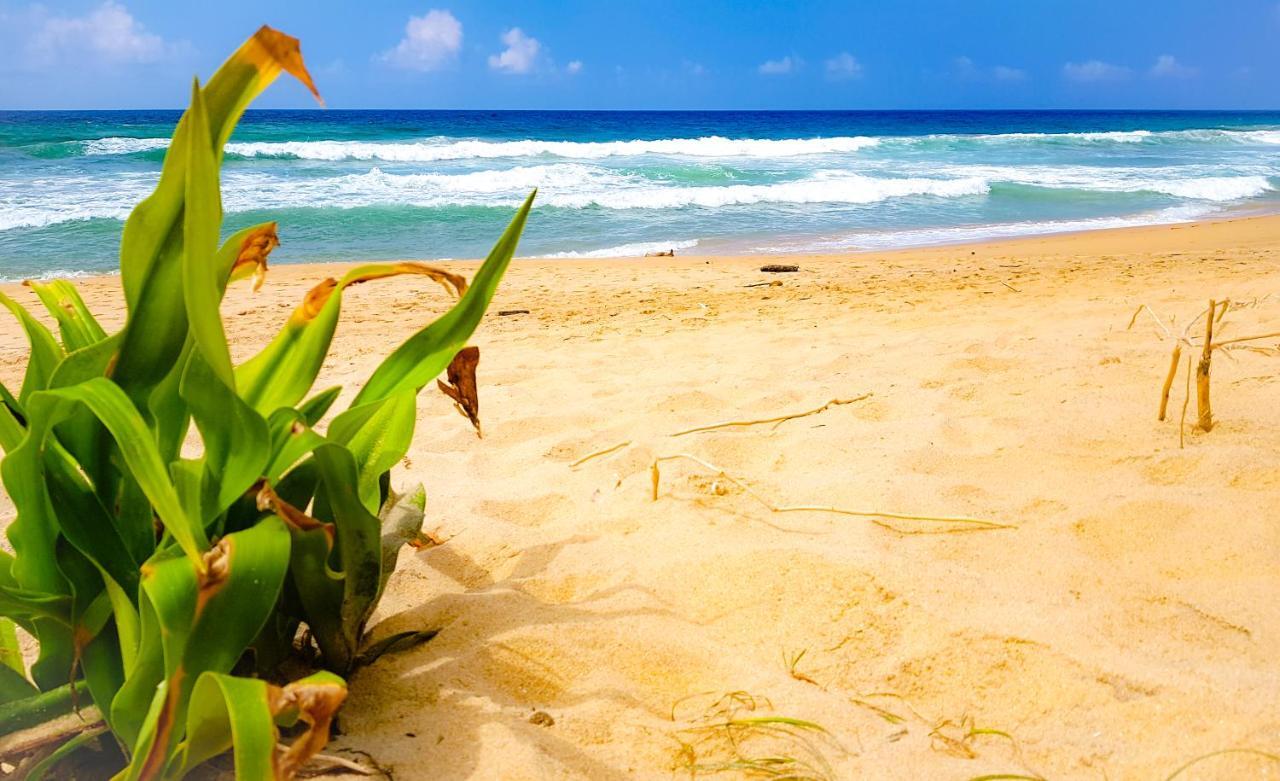 Hikkaduwa Backyard Beach Homestay Galle Eksteriør bilde