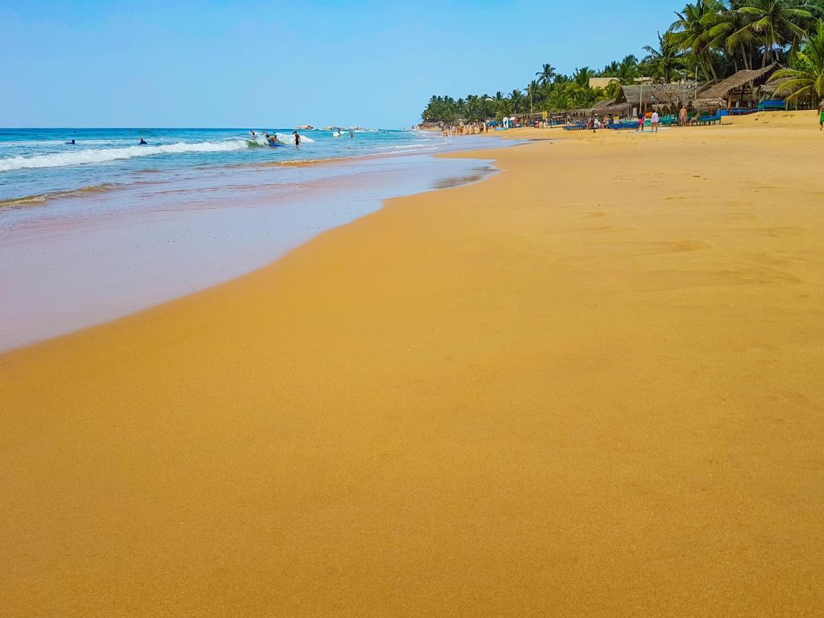 Hikkaduwa Backyard Beach Homestay Galle Eksteriør bilde