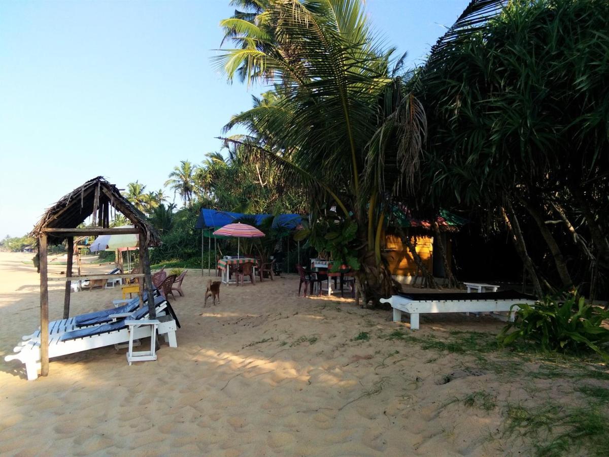Hikkaduwa Backyard Beach Homestay Galle Eksteriør bilde