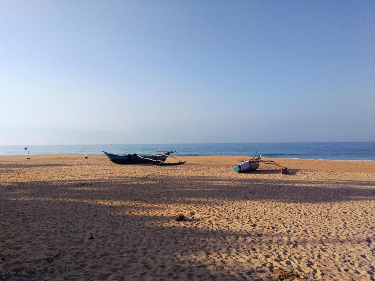 Hikkaduwa Backyard Beach Homestay Galle Eksteriør bilde